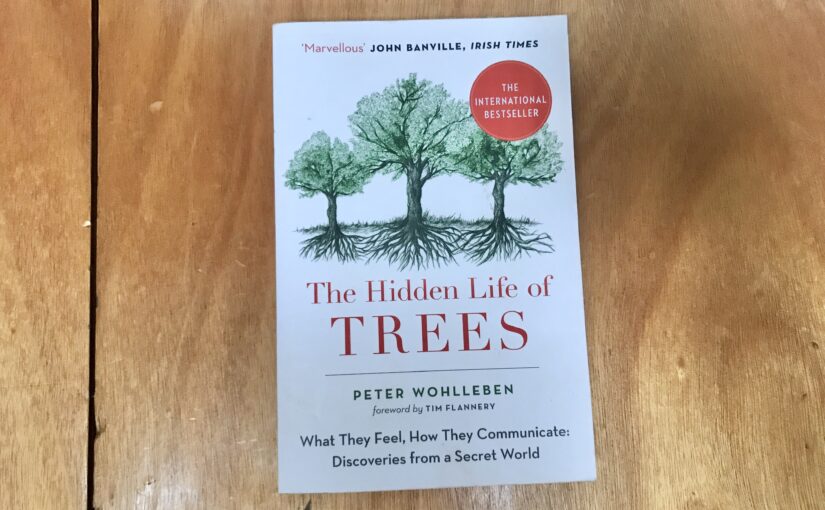 Book cover - The Hidden Life of Trees
